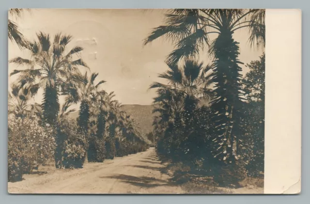 Palm Street AZUSA California RPPC Los Angeles County Photo—Antique San Gabriel