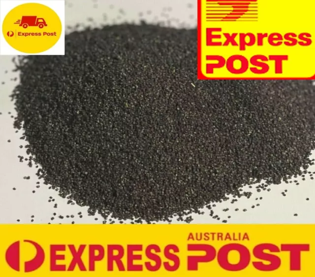 5kg Blue Poppy Seed Seeds - Tasmanian Seed The Best 💪🥇🏆