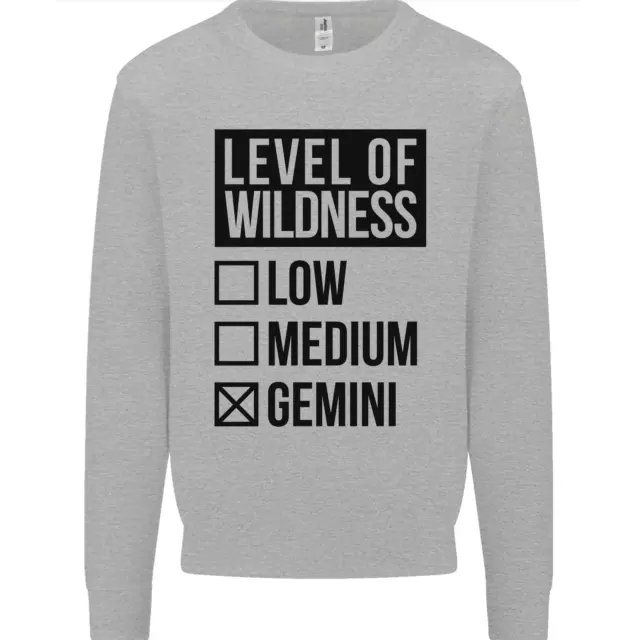 Levels of Wildness Gemini Mens Sweatshirt Jumper