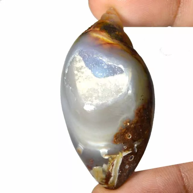 135.30 Cts 100% Natural Crystal Fossil Snail Agate Druzy Cabochon Gemstone FD27