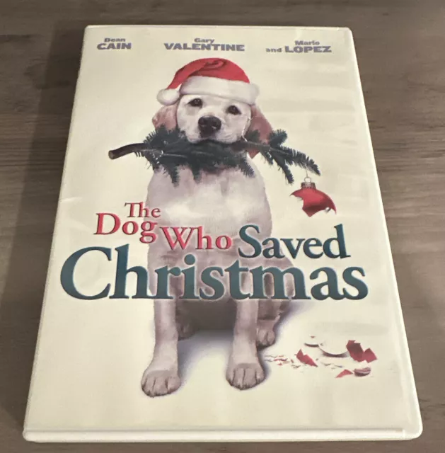 The Dog Who Saved Christmas (DVD)