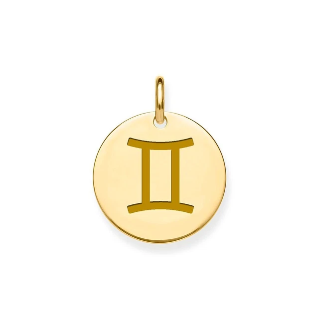 Pendentif Signe Du Zodiaque Gémeaux En Acier Inoxydable - Ovale, Occasion Avec Micro-rayures