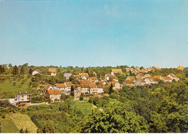 Carte postale 10cmX15cm MOSELLE GOETZENBRUCK rue de Bitche écrite 1980