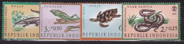 Indonesien Reptilien 1966 1