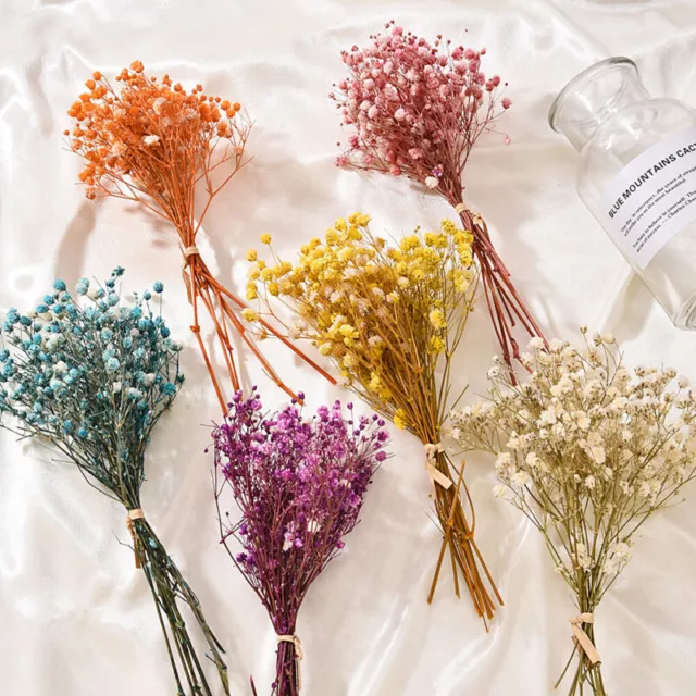 Natural Fresh Dried Preserved Flowers Small Natural Dried Flowers Bouquet