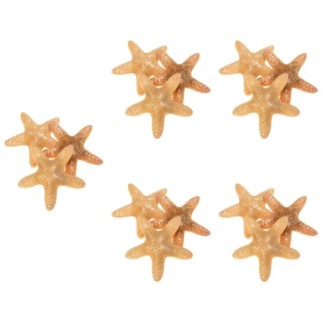 15 piezas de joyas de verano decoración natural de estrellas de mar hágalo usted mismo animales marinos manualidades