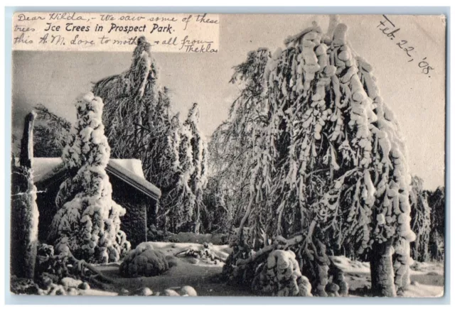1908 Ice Trees In Prospect Park Niagara Falls New York NY Antique Postcard