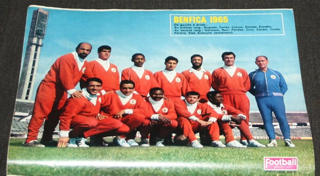 Norberto Alves sobre a derrota do Benfica na Taça de Portugal: «Estamos