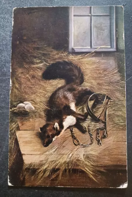 vtg postcard Marten in Trap animal serie 345 painting art unposted