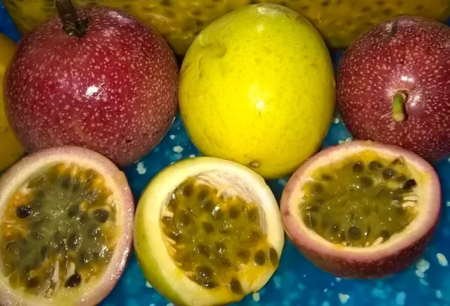 Passion  Fruit Maracuya Parcha Passiflora Edulis 80 semillas