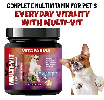 Vitofarma Multivitamin for Dog | Canine Supplement vitamins Mineral for  pets