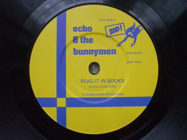 Echo & The Bunnymen - The Pictures On My Wall / Read It In Books - 45 Vinyl 2