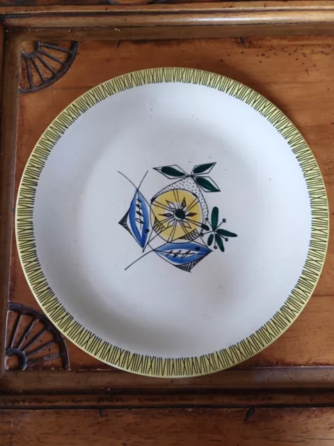 Retro Scandinavian Stavangerflint Plate