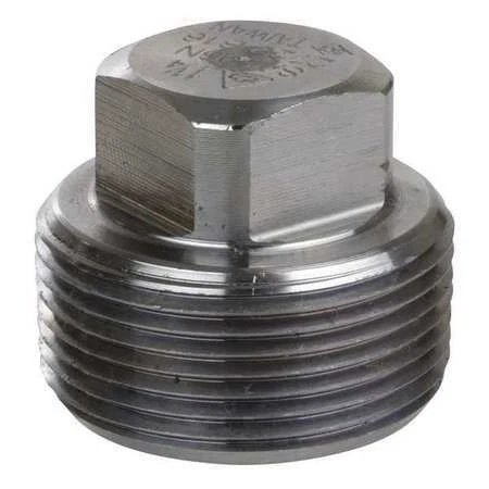 Zoro Select 4307002150 1/8" Mnpt Ss Square Head Plug