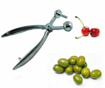 multicolore Zaseves 5017 olive e Snocciolatore 