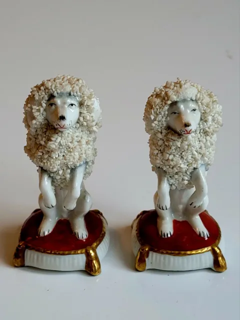 Pr Of Antique Early Sitzendorf Pearlware Porcelain Ceramic Poodle Dog Figures 3"