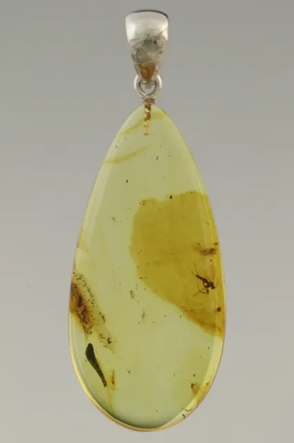 Fossil Insect GNAT Inclusion Genuine BALTIC AMBER Silver Pendant 4g 180731-1