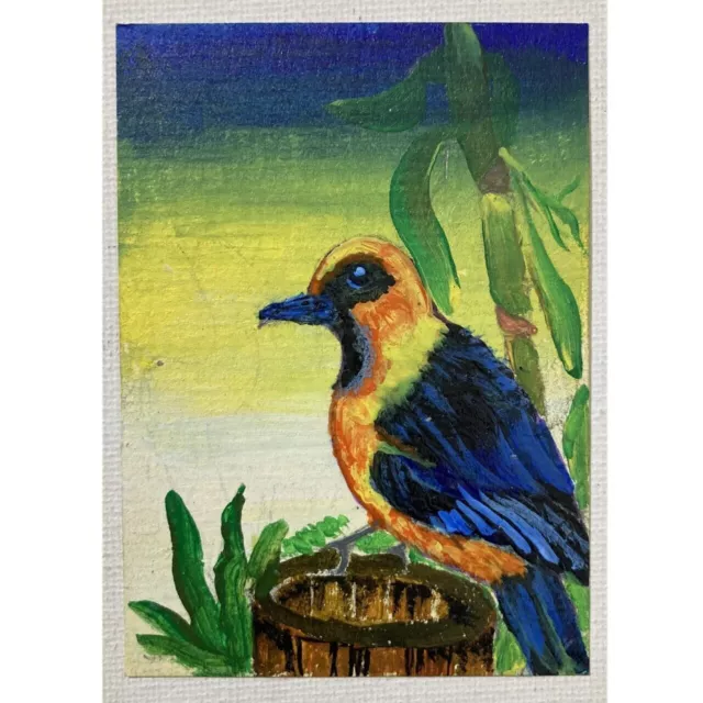 ACEO ORIGINAL PAINTING Mini Collectible Art Card Animal Beautiful Bird Ooak