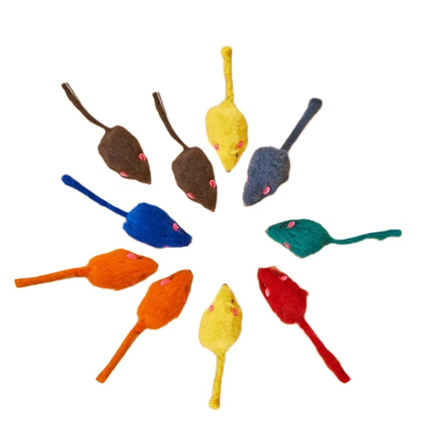 10 Pcs Chat Jouet Interactif Animaux Jouets Pour De Compagnie Chiot