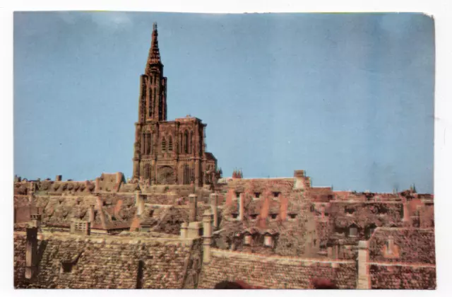 les toits de strasbourg et la cathédrale