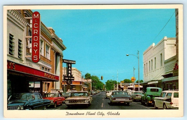 PLANT CITY, Florida FL~ Downtown STREET SCENE Hillsborough County 1960s Postcard