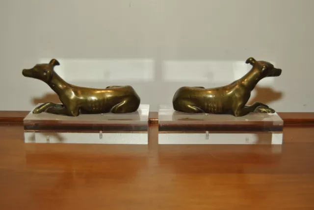 Paire sculpture statue bronze animalière chien lévrier socle plexiglas