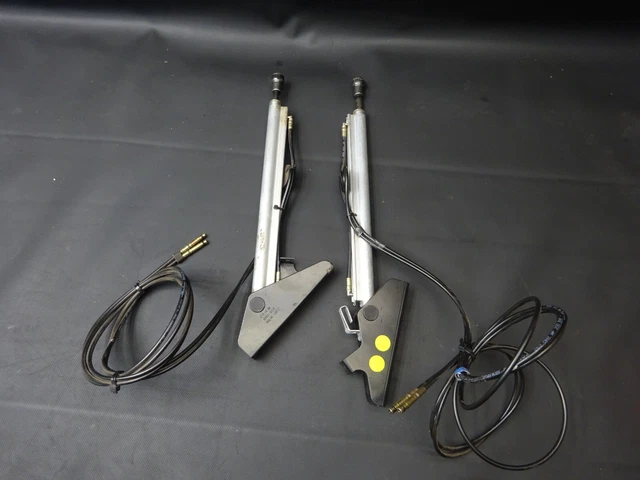 Peugeot 307 CC Verdeck Hydraulikzylinder Set