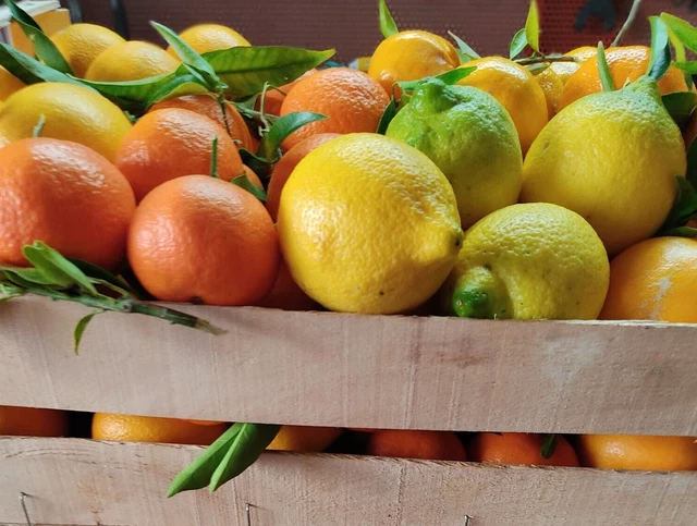 Box Mix Kg 10 di Agrumi Sicilia Mandarini ARANCE e LIMONI misto BIO naturali