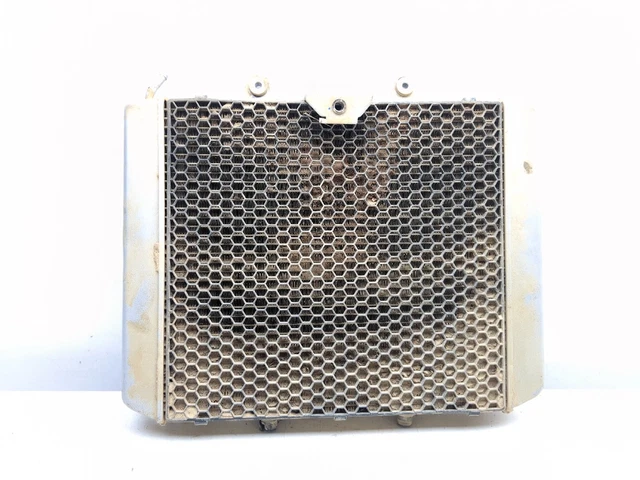 21-25 CF MOTO CForce 1000 Engine Motor Radiator $269.18 - PicClick CA