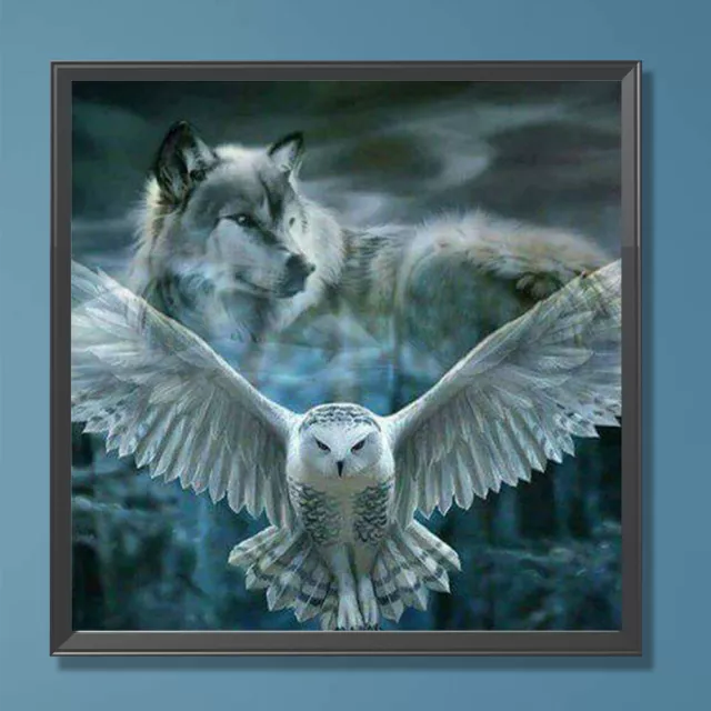 Paint By Numbers Kit DIY Oil Art White Owl Picture Home Wall Decoration 40x40cm