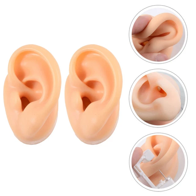 Modèle De Corps De Piercing En Silicone,Modèle De Partie Du Corps