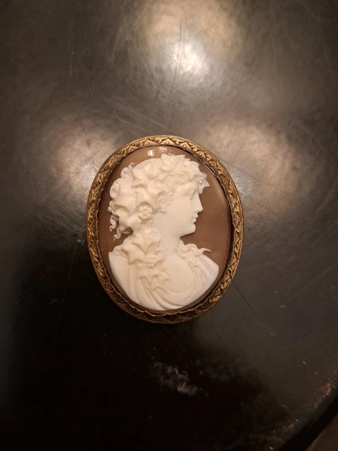 Lot De 4 Camées Vintage En Coquille - Couleurs Blanc Et Marron - Total 296 Ct - Avec étui - Italie