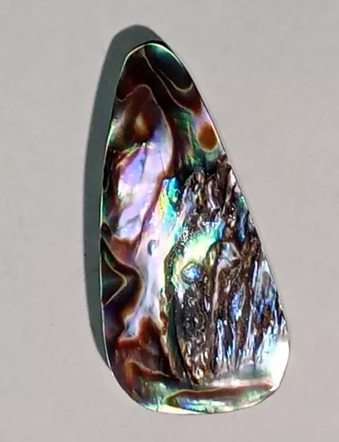 Nacre Abalone multicolore en cabochon fantaisiste de 29,77Cts