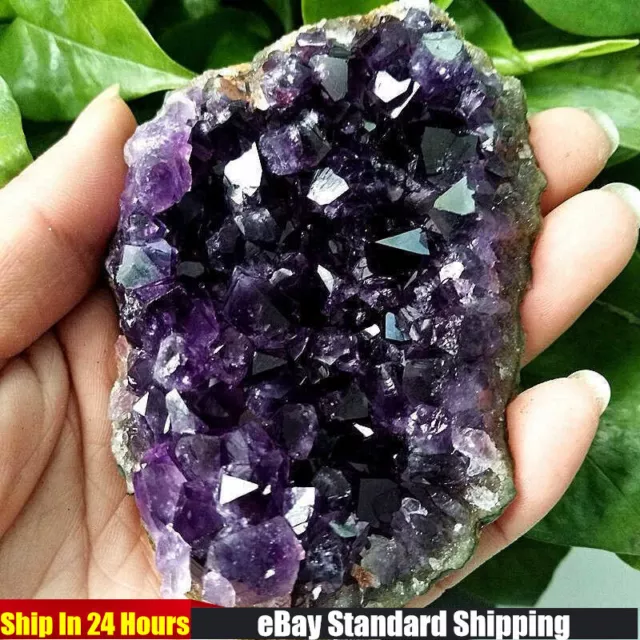 Large Natural Amethyst Cluster Quartz Crystal Druzy Geode Stone Healing Reiki US