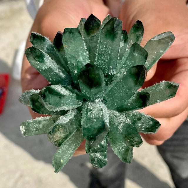 279G New Find Green Phantom Quartz Crystal Cluster Mineral Specimen Healing 10