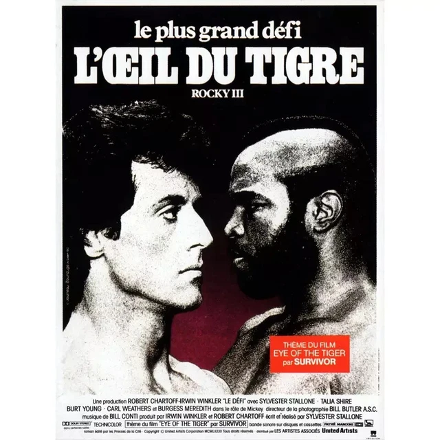 PLAQUE EN MÉTAL VINTAGE FILM ROCKY 30 X 20 CM | UK