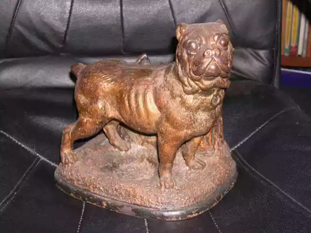 Very Rare Large Antique Pit Bull Terrier Terracotta Dog Humidor 1895