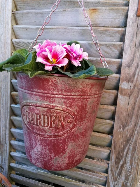 Metall Wandeimer zum Bepflanzen rot Pflanzgefäße Übertopf Blumenkübel Pflanztrog