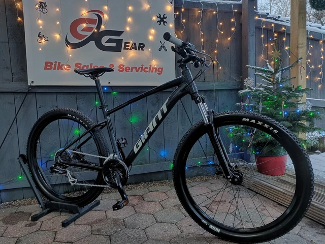 Giant talon 3 2025 2021