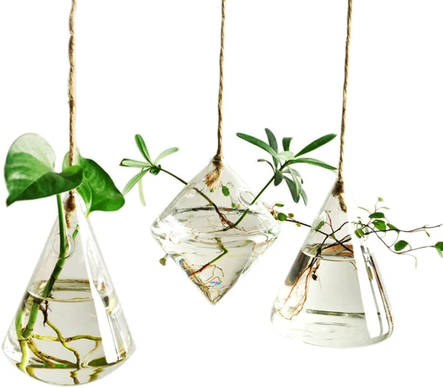 Terrarium Container Flower Planter Hanging Glass for Hydroponic Plants Home Gard
