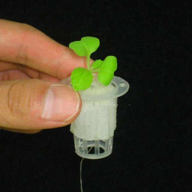 100x Soilless Cultivation Plant Mesh Pots for Greenhouse Hydroponics