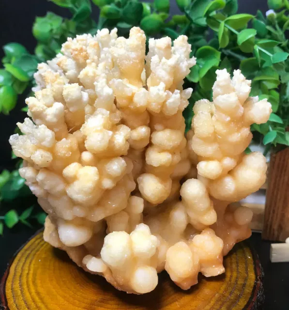 716g  New find natural yellow Calcite Crystal cluster mineral specimen/China 59