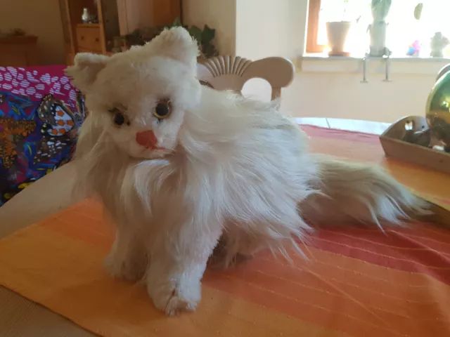 Steiff Katze Persa Angora ca. 50er 60er Jahre Selten 55 cm