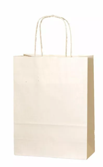 Kraft Paper Party Bags with Twisted Handle - Gift Bags for Christmas & Birthdays