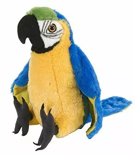 Peluche pappagallo gigante on sale