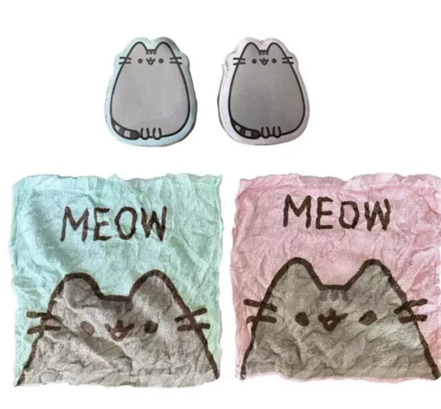 Bambini gatto Pusheen flanella magica espansione asciugamano viso bagno lavaggio viaggio Natale