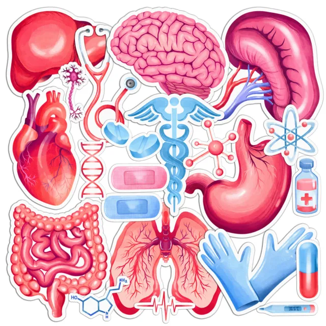 Stickers 23 PCS Pack for Laptop Vinyl Human Organs Science Medicine Doctor Nurse