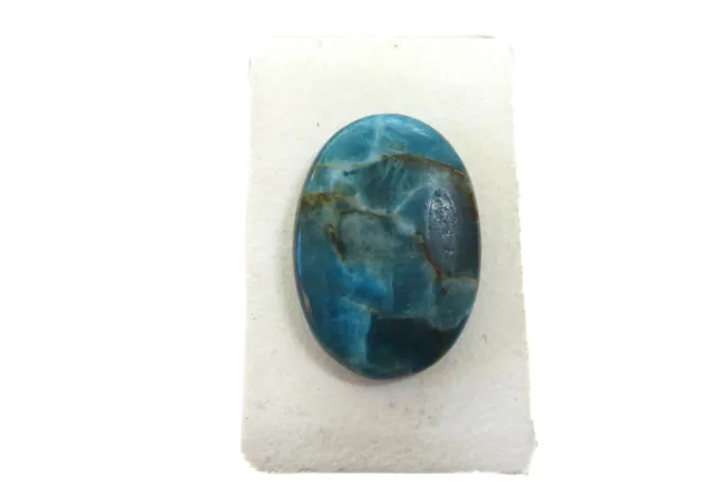 Apatit - Apatite Cabochon 31,7x22 mm 40 ct. Nr. U30331