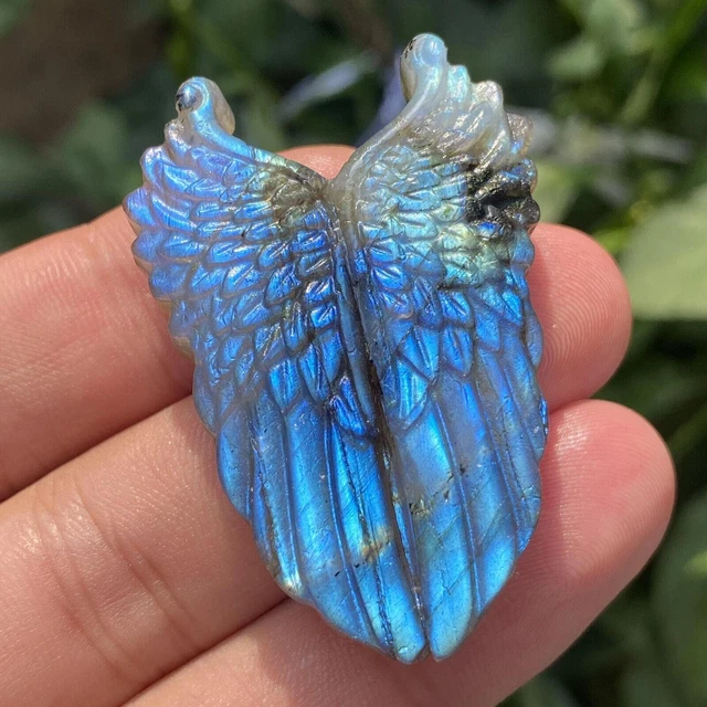 Natural Labradorite Hand Carved the Wing Skull Quartz Crystal Healing Reiki 1pc