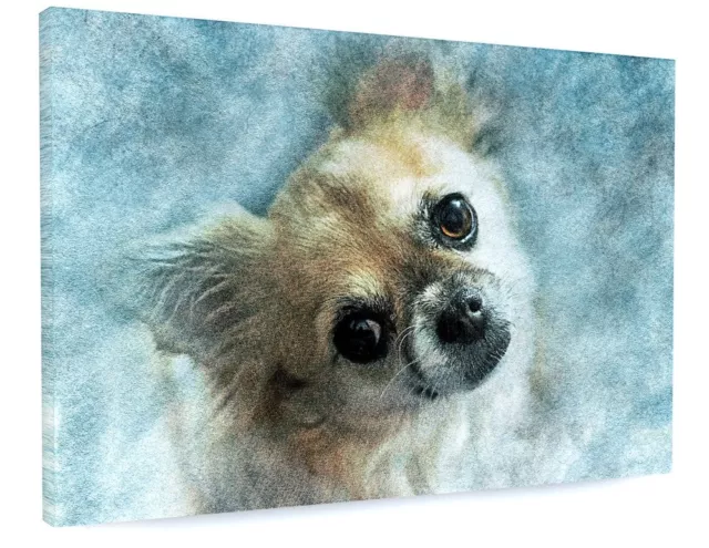 Cute Chihuahua Dog Framed Canvas Picture Print Wall Art